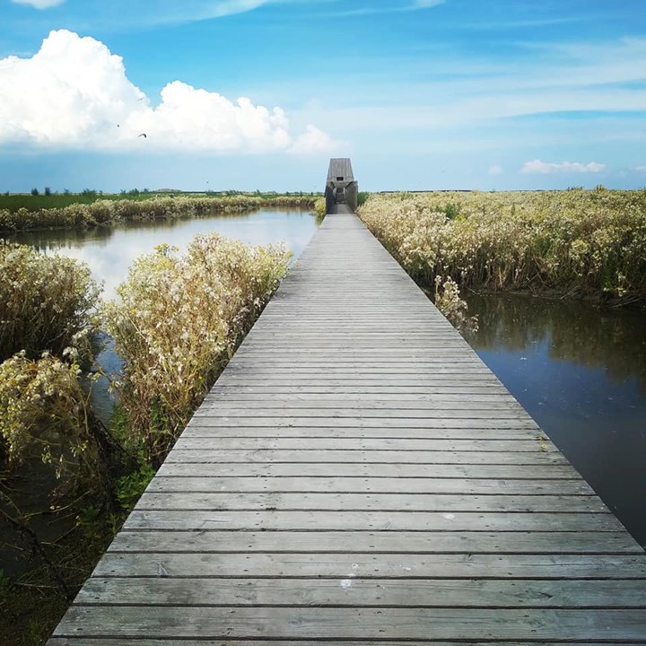 Met je eigen boot naar de Marker Wadden
