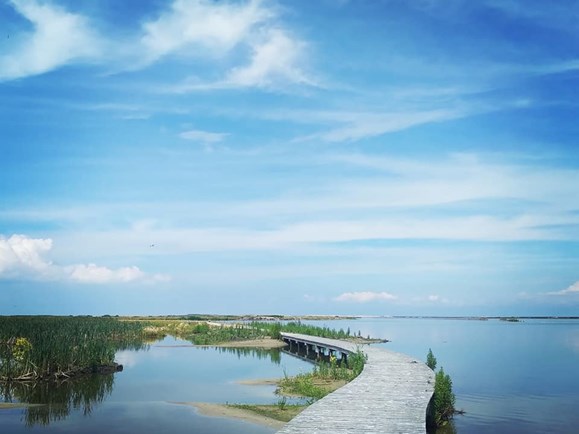 Marker Wadden